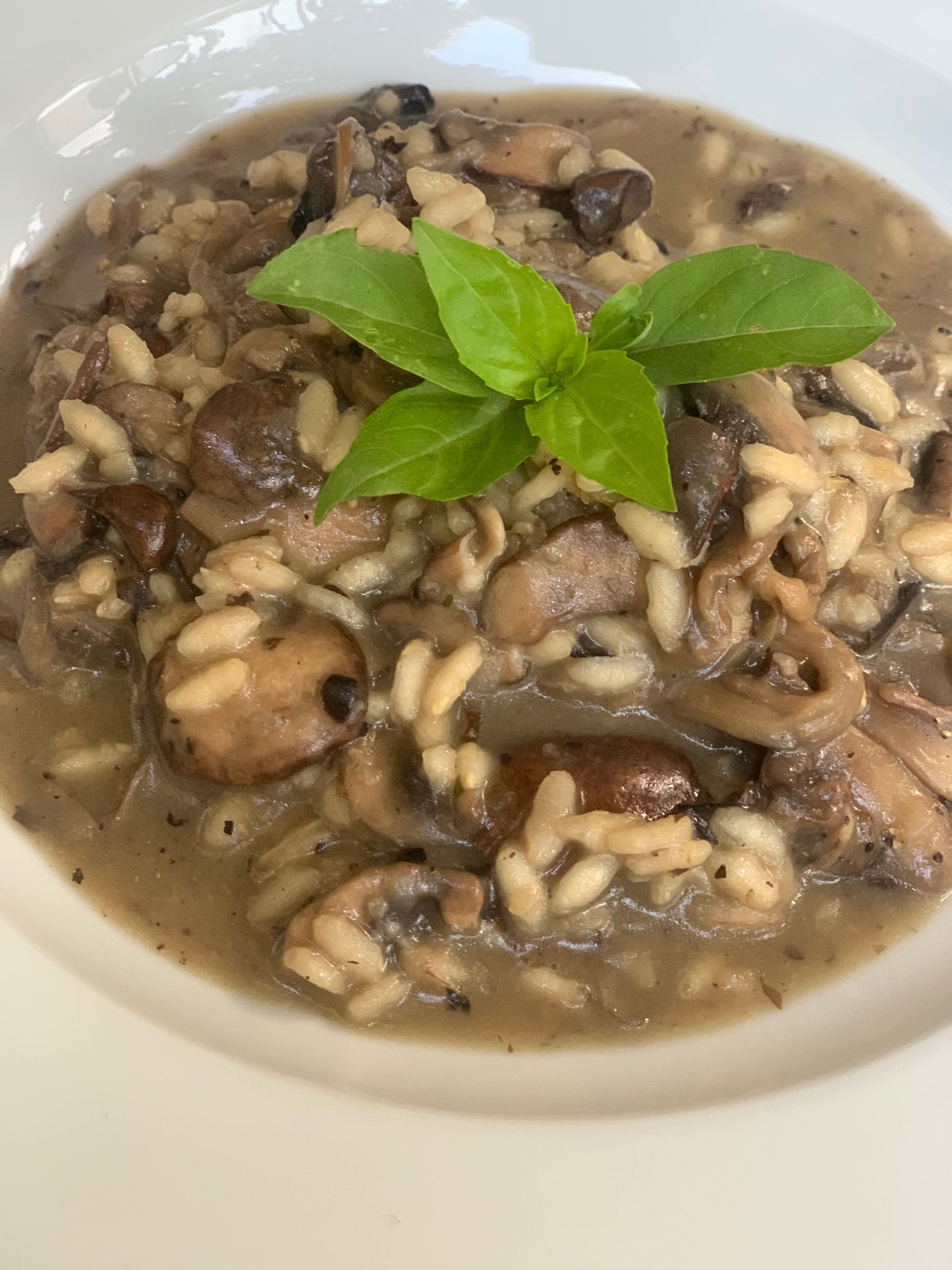 Delicado arroz preparado con una mezcla de hongos y un toque de vino tinto, se puede utilizar como guarnicion con pescado, carne, pollo, cerdo, etc... o tambien es un muy buen plato fuerte si se quiere comer un menu vegetariano. Platiilo para 6 personas